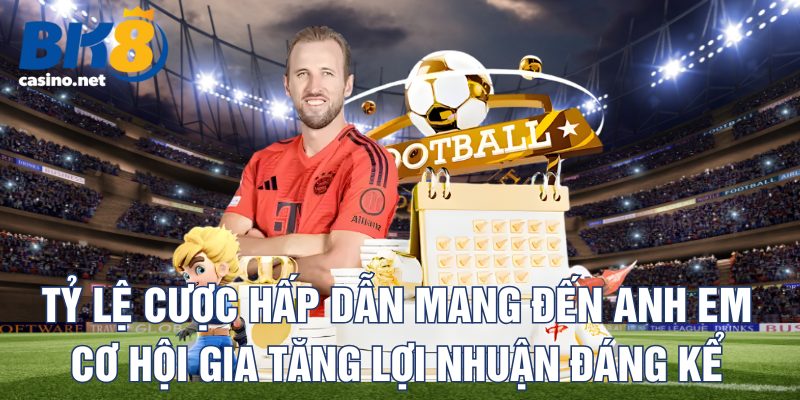 ty-le-cuoc-hap-dan-mang-den-anh-em-co-hoi-gia-tang-loi-nhuan-dang-ke