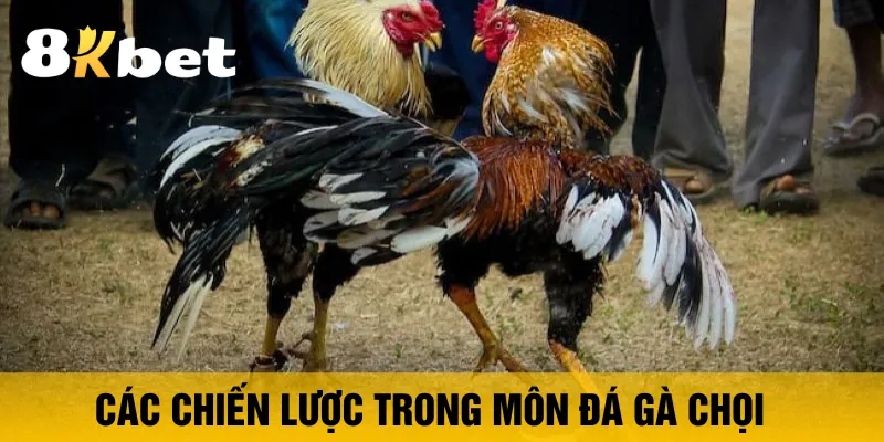 cac-chien-luoc-trong-mon-da-ga-choi