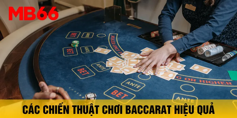 cac-chien-thuat-choi-baccarat-hieu-qua