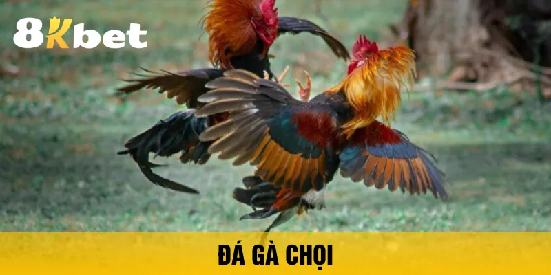 da-ga-choi