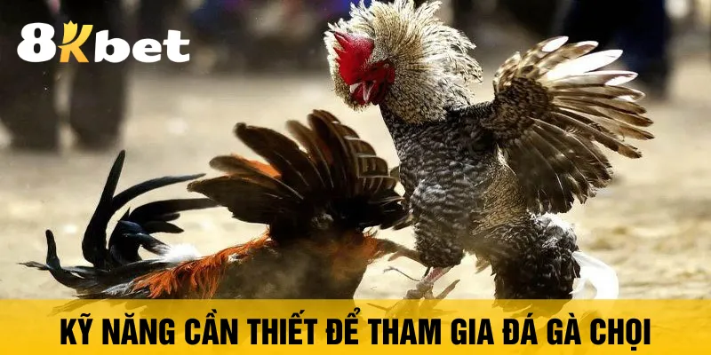ky-nang-can-thiet-de-tham-gia-da-ga-choi
