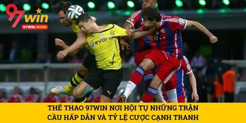 the-thao-97win-noi-hoi-tu-nhung-tran-cau-hap-dan-va-ty-le-cuoc-canh-tranh